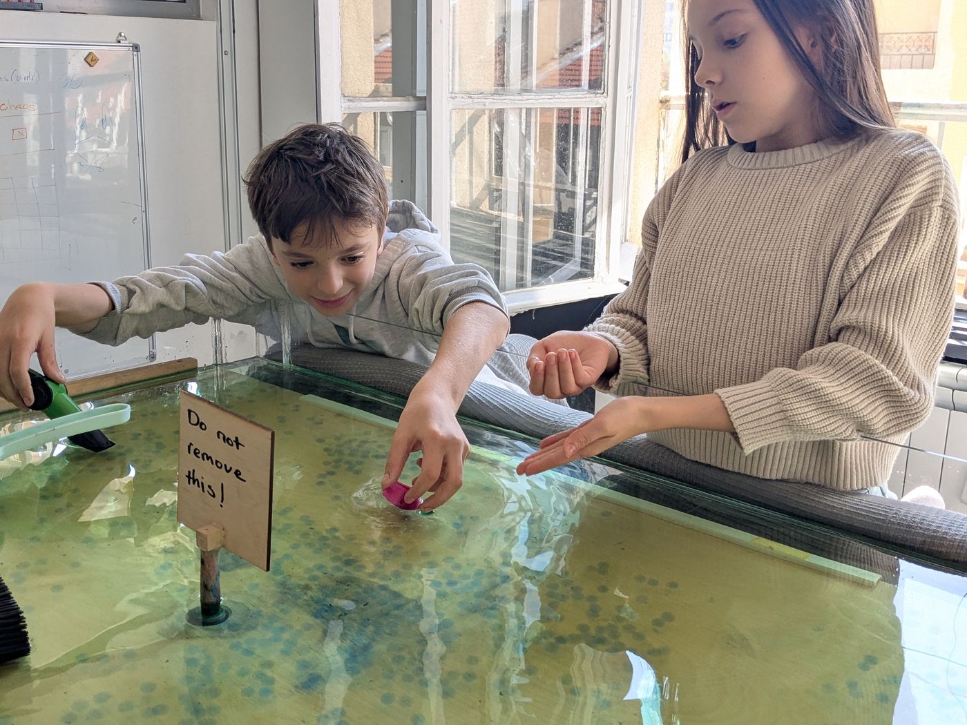 A TwoFish scene showing structure and participation working together.